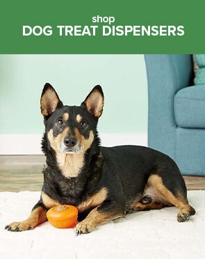 Dog Treat Dispensers
